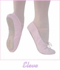 Ballet Schoenen Roze