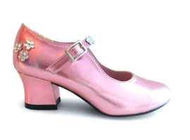 Prinsessen Schoenen Pink Metalic Hart + kadootje