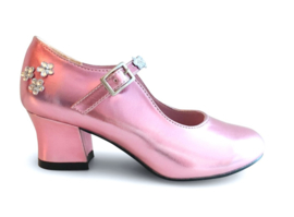 Prinsessen Schoenen Pink Metalic + kadootje