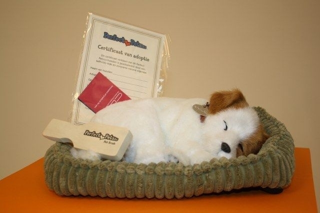 Perfect petzzz jack russell deals