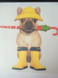 Hond met paraplu (full color)