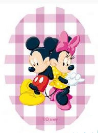 Mickey & Minnie Mouse and friends applicaties opstrijkbaar