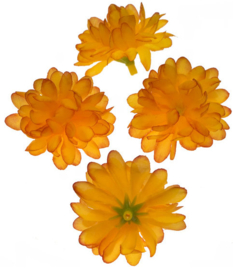 Chrysant oranje 5cm.