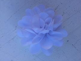 Chiffon bloem wit 5.5cm.