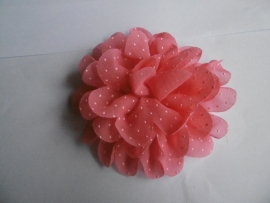 Bloem chiffon stip coral 11cm.