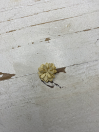 Bloemen madeliefjes, diverse kleuren. 2.5cm.