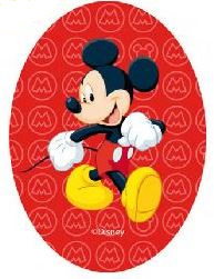 Mickey & Minnie Mouse and friends applicaties opstrijkbaar