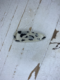 Kniphoes satijn dierenprint 5.5cm.