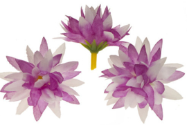 Chrysant wit/lila met puntige blaadjes 5cm.