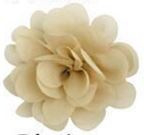 Chiffon bloem off white 5.5cm.