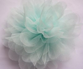 Bloem tule mint 12cm.