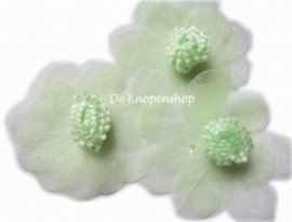 Organza bloem mint groen 4.5cm.