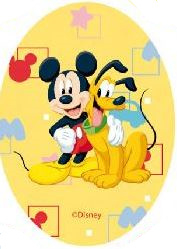 Mickey & Minnie Mouse and friends applicaties opstrijkbaar