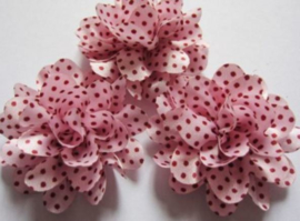 Bloem pink polkadot 5cm.