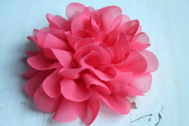 Bloem chiffon coral 11cm.