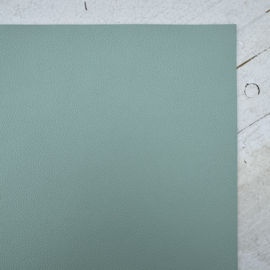 Leer pastel mint groen