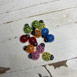 Lieveheersbeestje met plakstip. Diverse kleuren.