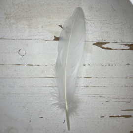 Ganzen veren paars, wit, rood en roze