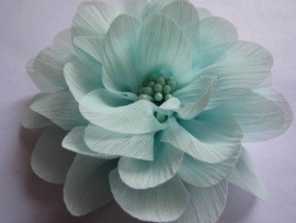 Bloem chiffon mint 11cm.