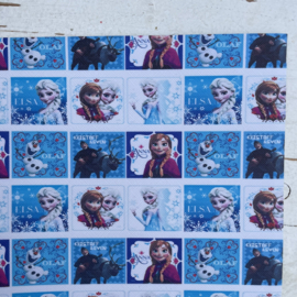 Leer frozen Elsa vierkant