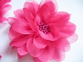 Bloem chiffon fuchsia 11cm.