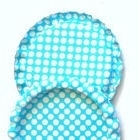 Bottlecap hanger aqua polka dot pst