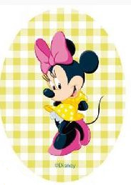 Mickey & Minnie Mouse and friends applicaties opstrijkbaar