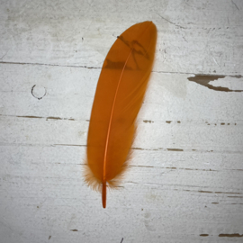 Ganzen veren oranje, zwart en groen