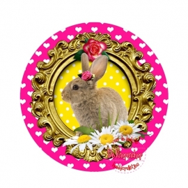 Flatback Bunny in frame geel polkadot(k894)