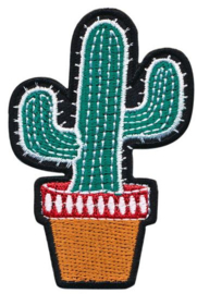 applicatie cactus