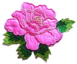 A056d Grote licht roze roos met blad