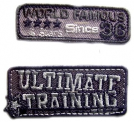 Ultimate training