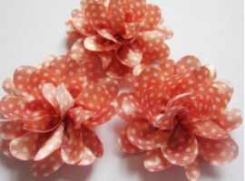 Bloem coral polkadot 5cm.