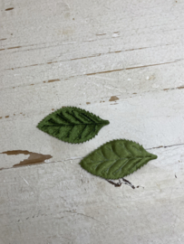 Groene blaadjes, diverse kleuren en uitvoeringen. 5.2x2.6cm.
