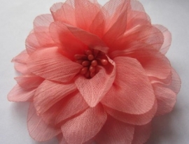 Bloem chiffon coral 11cm.