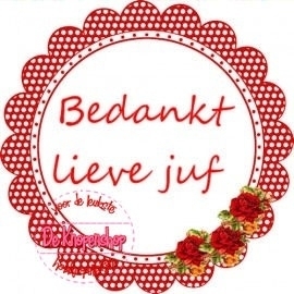 Flatback tekst bedankt lieve juf rood polkadot (k035)