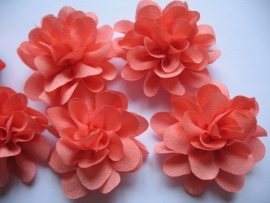 Chiffon bloem coral 5.5cm.