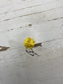 Bloemen madeliefjes, diverse kleuren. 2.5cm.