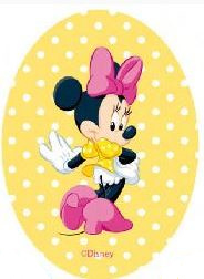 Mickey & Minnie Mouse and friends applicaties opstrijkbaar