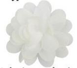 Chiffon bloem ivoor 5.5cm.