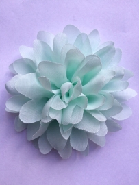 Bloem chiffon mint 11cm.