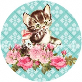 Flatback Kitten blauw (k095)