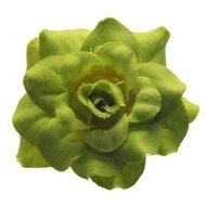 Roos lime stof 4.5cm.