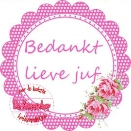 Flatback tekst bedankt lieve juf fuchsia polkadot(K034)