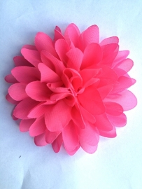 Bloem chiffon fuchsia 11cm.