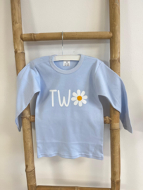 VERJAARDAG SHIRT ONE, TWO, THREE, FOUR,  | DAISY