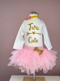 VERJAARDAGSET 2 JAAR ROZE | TWO CUTE