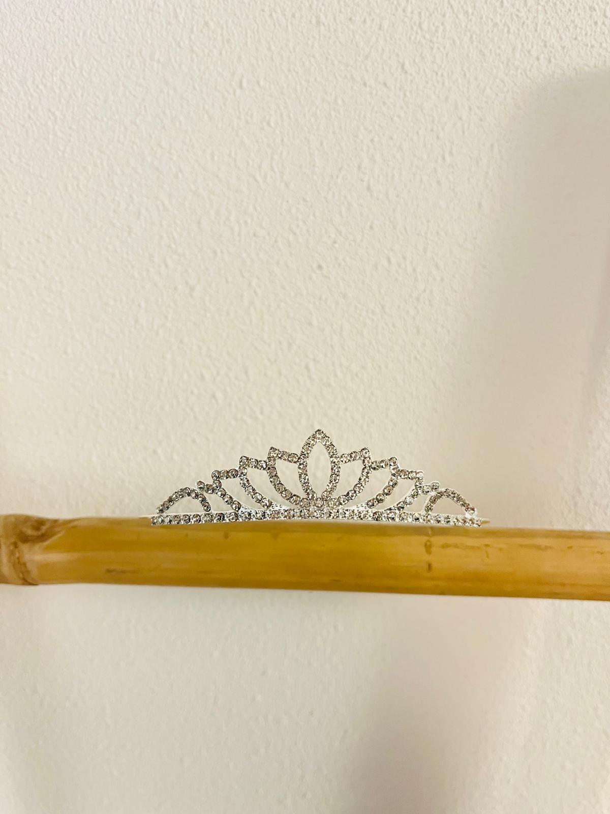 PRINSES TIARA | ANN