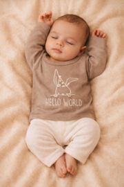 SHIRT MET HELLO WORLD  | NIJN