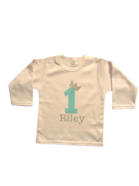 VERJAARDAGSHIRT MINT/ZILVER | GETAL
